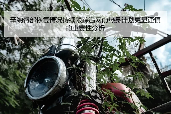 辛纳臀部恢复情况持续跟踪温网前热身计划更显谨慎的重要性分析