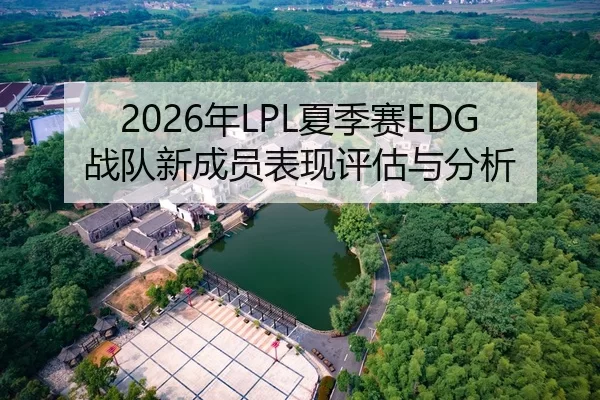 2026年LPL夏季赛EDG战队新成员表现评估与分析