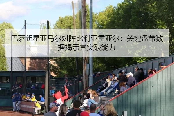 ba-sa-xin-xing-ya-ma-er-dui-zhen-bi-li-ya-lei-ya-er-guan-jian-pan-dai-shu-ju-jie-shi-qi-tu-po-neng-li-3-653.jpg