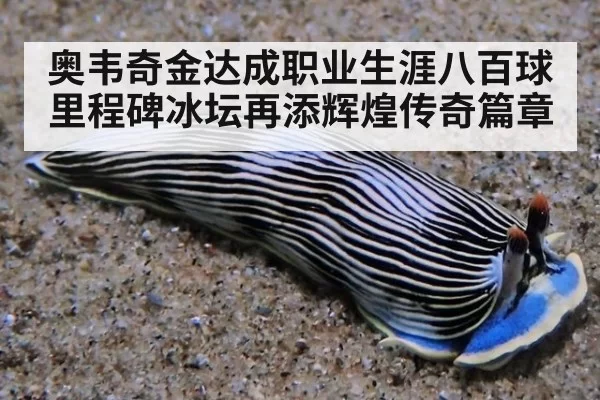 奥韦奇金达成职业生涯八百球里程碑冰坛再添辉煌传奇篇章