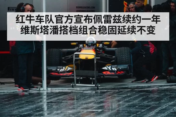 Max Verstappen Red Bull