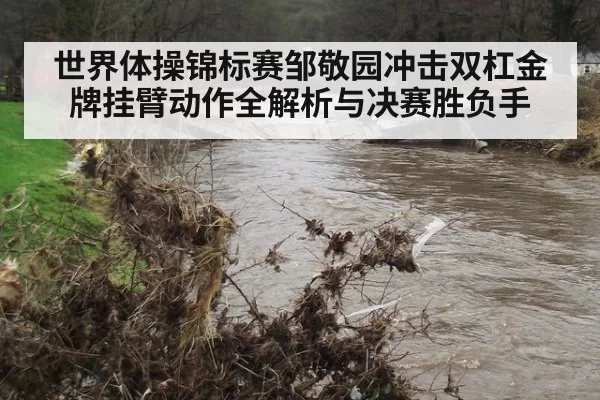 世界体操锦标赛邹敬园冲击双杠金牌挂臂动作全解析与决赛胜负手